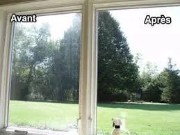 Collage avant et après de vitres donnant sur un jardin